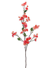 Load image into Gallery viewer, Two Tone Coral