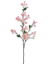 Load image into Gallery viewer, Cream Pink
