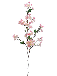 Cream Pink