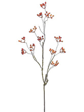 Load image into Gallery viewer, Orange