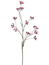 Load image into Gallery viewer, Red