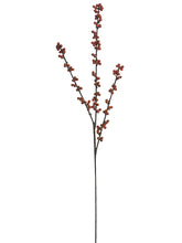 Load image into Gallery viewer, Red Red