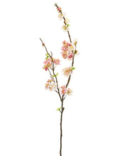 Load image into Gallery viewer, Two Tone Pink