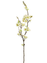 Load image into Gallery viewer, White