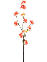 Load image into Gallery viewer, Coral