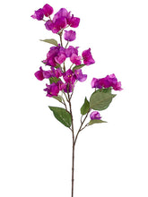 Load image into Gallery viewer, Purple Orchid