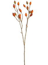 Load image into Gallery viewer, Orange
