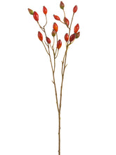 Load image into Gallery viewer, Red