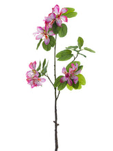 Load image into Gallery viewer, Pink Cerise
