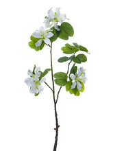 Load image into Gallery viewer, White