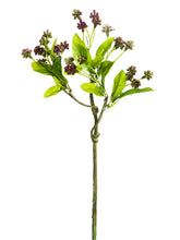 Load image into Gallery viewer, Purple Green