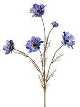 Load image into Gallery viewer, Blue