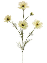 Load image into Gallery viewer, Cream