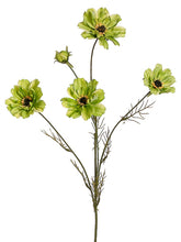 Load image into Gallery viewer, Green