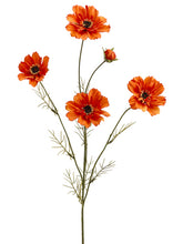 Load image into Gallery viewer, Orange