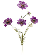 Load image into Gallery viewer, Purple