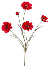 Load image into Gallery viewer, Red