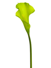 Load image into Gallery viewer, Green