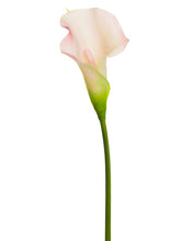 Load image into Gallery viewer, Pink Soft