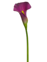 Load image into Gallery viewer, Purple Eggplant