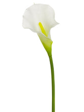 Load image into Gallery viewer, White