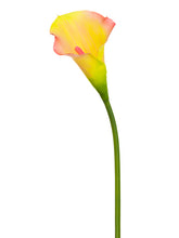 Load image into Gallery viewer, Yellow Flame