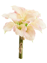 Load image into Gallery viewer, Pink Soft