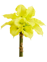 Load image into Gallery viewer, Yellow