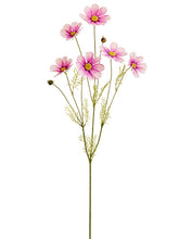 Load image into Gallery viewer, Two Tone Cerise