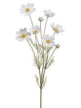 Load image into Gallery viewer, White
