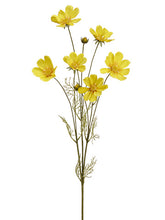 Load image into Gallery viewer, Yellow