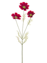 Load image into Gallery viewer, Burgundy