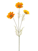 Load image into Gallery viewer, Orange