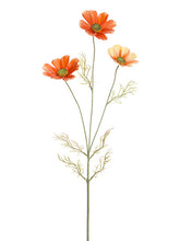 Load image into Gallery viewer, Sunset