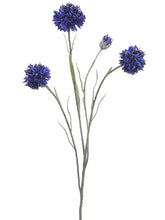 Load image into Gallery viewer, Blue