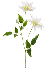 Load image into Gallery viewer, White
