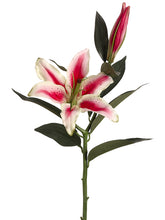 Load image into Gallery viewer, Pink