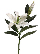 Load image into Gallery viewer, White