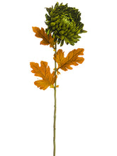 Load image into Gallery viewer, Green Moss