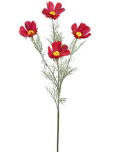 Load image into Gallery viewer, Beauty Red