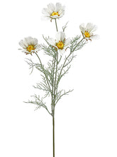 Load image into Gallery viewer, White