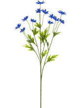 Load image into Gallery viewer, Blue