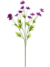 Load image into Gallery viewer, Violet