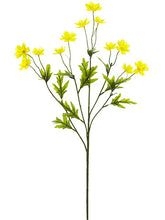 Load image into Gallery viewer, Yellow