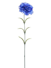 Load image into Gallery viewer, Blue