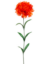 Load image into Gallery viewer, Two Tone Orange