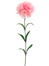 Load image into Gallery viewer, Pink