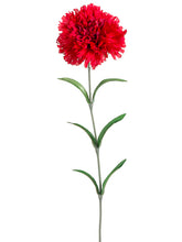 Load image into Gallery viewer, Red