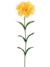 Load image into Gallery viewer, Yellow