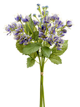 Load image into Gallery viewer, Purple